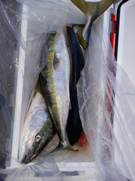 第二龍勢丸 釣果