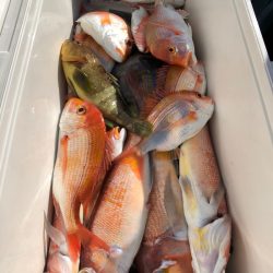 第二八坂丸 釣果