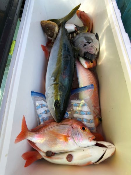 第二八坂丸 釣果