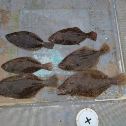 FISHING RISKY 釣果