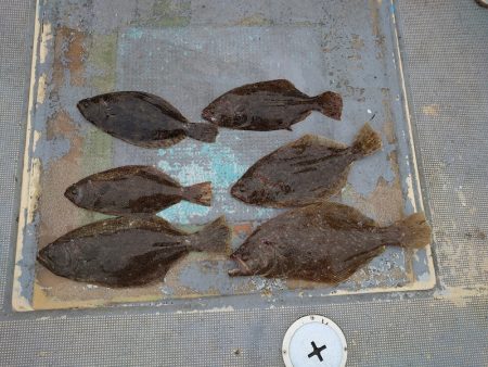 FISHING RISKY 釣果