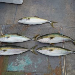 FISHING RISKY 釣果