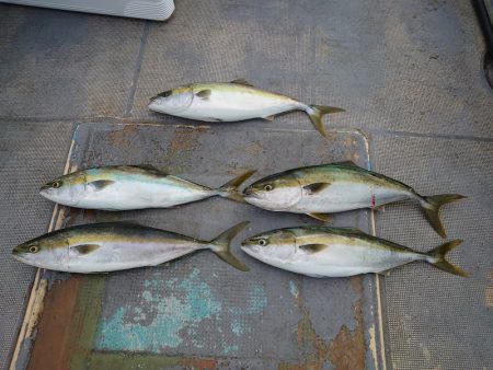 FISHING RISKY 釣果