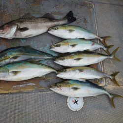 FISHING RISKY 釣果