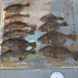 FISHING RISKY 釣果