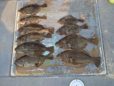 FISHING RISKY 釣果