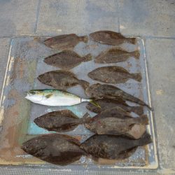 FISHING RISKY 釣果