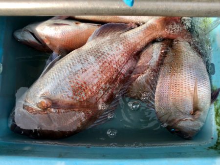 第二八坂丸 釣果