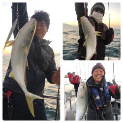 ビッグファイター 釣果