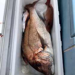 第二八坂丸 釣果