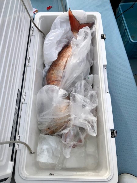 第二八坂丸 釣果