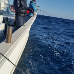 第五慶門丸 釣果