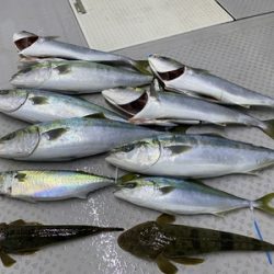 ミタチ丸 釣果