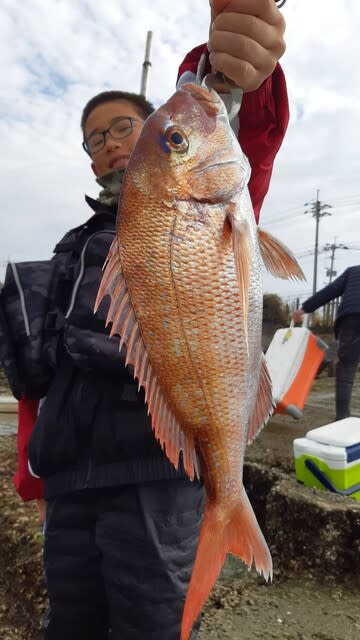 珠理丸 釣果