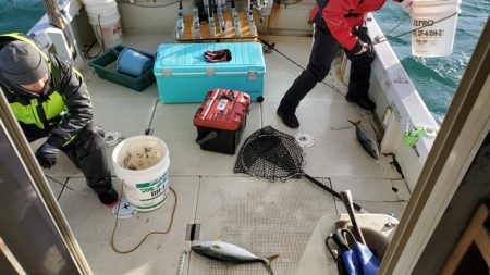 遊漁船 ニライカナイ 釣果