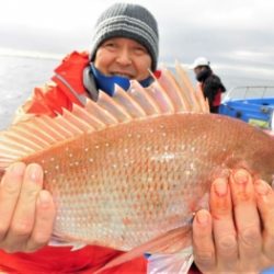 鯛紅丸 釣果