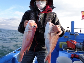 鯛紅丸 釣果