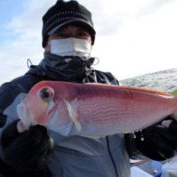 鯛紅丸 釣果
