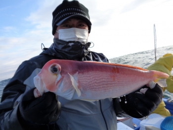 鯛紅丸 釣果