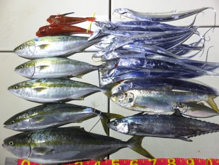 Hit Rush(ヒット ラッシュ） 釣果…