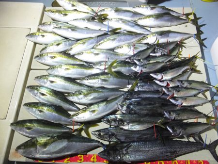 Hit Rush(ヒット ラッシュ） 釣果…