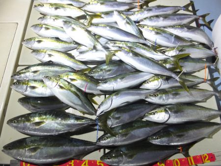 Hit Rush(ヒット ラッシュ） 釣果…