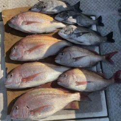 釣船 浦島太郎 釣果