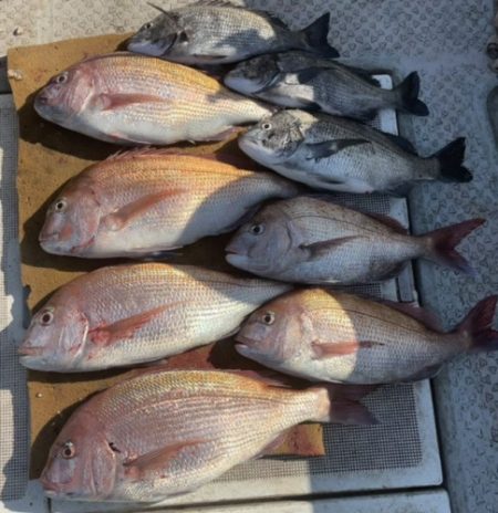 釣船 浦島太郎 釣果