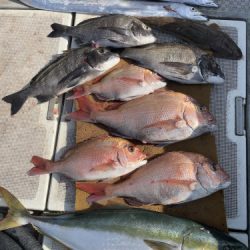 釣船 浦島太郎 釣果