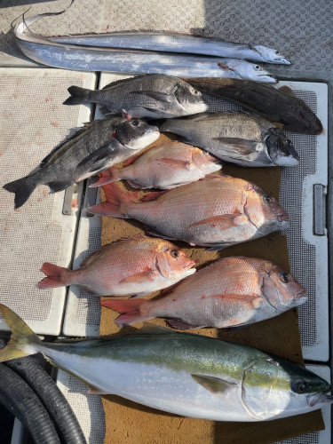 釣船 浦島太郎 釣果