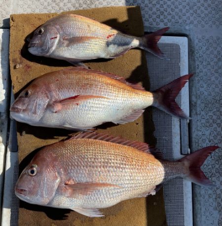 釣船 浦島太郎 釣果