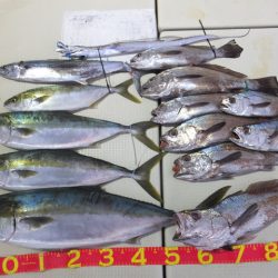 Hit Rush(ヒット ラッシュ) 釣果