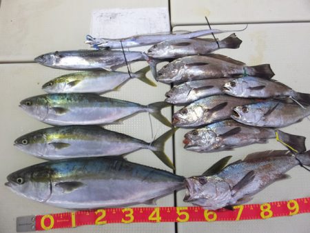 Hit Rush(ヒット ラッシュ） 釣果…