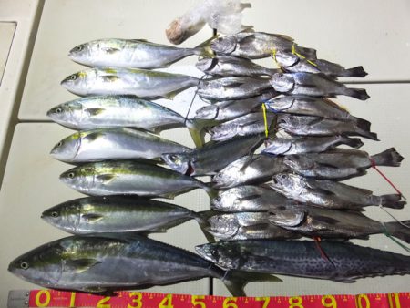 Hit Rush(ヒット ラッシュ） 釣果…