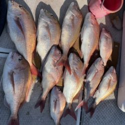 釣船 浦島太郎 釣果