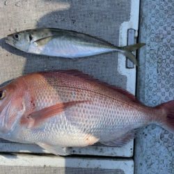 釣船 浦島太郎 釣果
