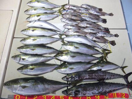 Hit Rush(ヒット ラッシュ） 釣果…