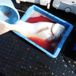 ジギング船 BLUEWATER 釣果