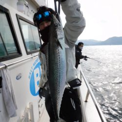 ジギング船 BLUEWATER 釣果