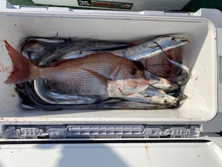 sea boss シーボス 釣果