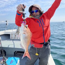 sea boss シーボス 釣果