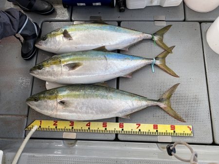 sea boss　シーボス 釣果