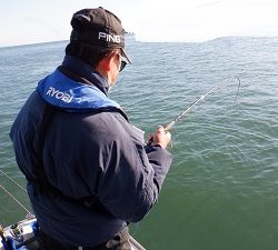 遊漁船 幸友丸 釣果