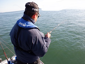 遊漁船 幸友丸 釣果