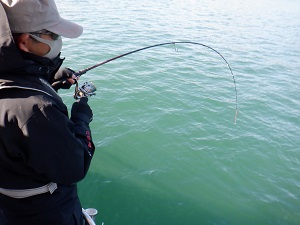 遊漁船 幸友丸 釣果