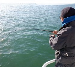 遊漁船 幸友丸 釣果