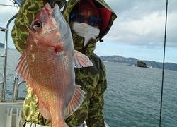 愛裕南丸 釣果