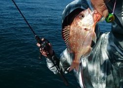 愛裕南丸 釣果