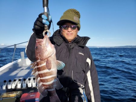 ブルーピア 釣果