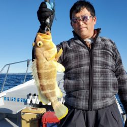 ブルーピア 釣果